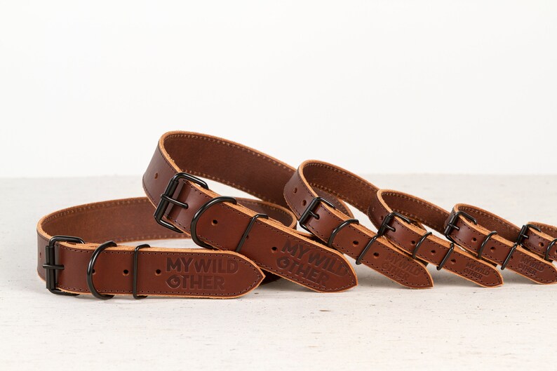 Matching dog and owner Brown full grain leather belt leather dog collar Artisan handmade in Europe Premium quality Full grain leather