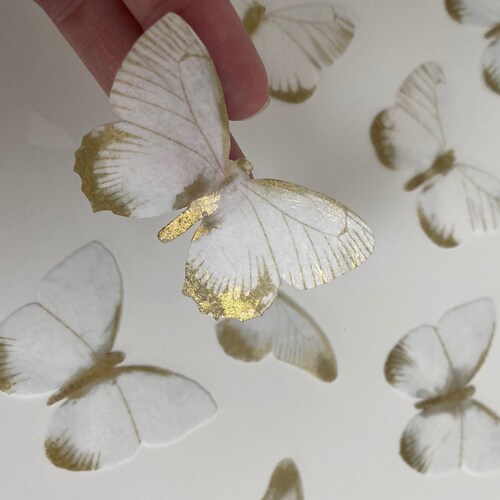 Precut Mini Edible Wafer Butterflies Decorations for Cake Etsy
