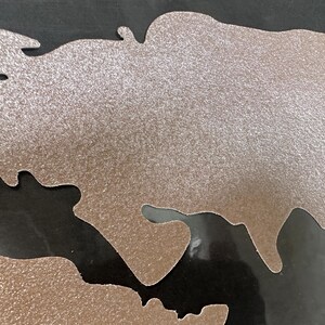 May include: A silver glitter-covered map of the world with a black background.