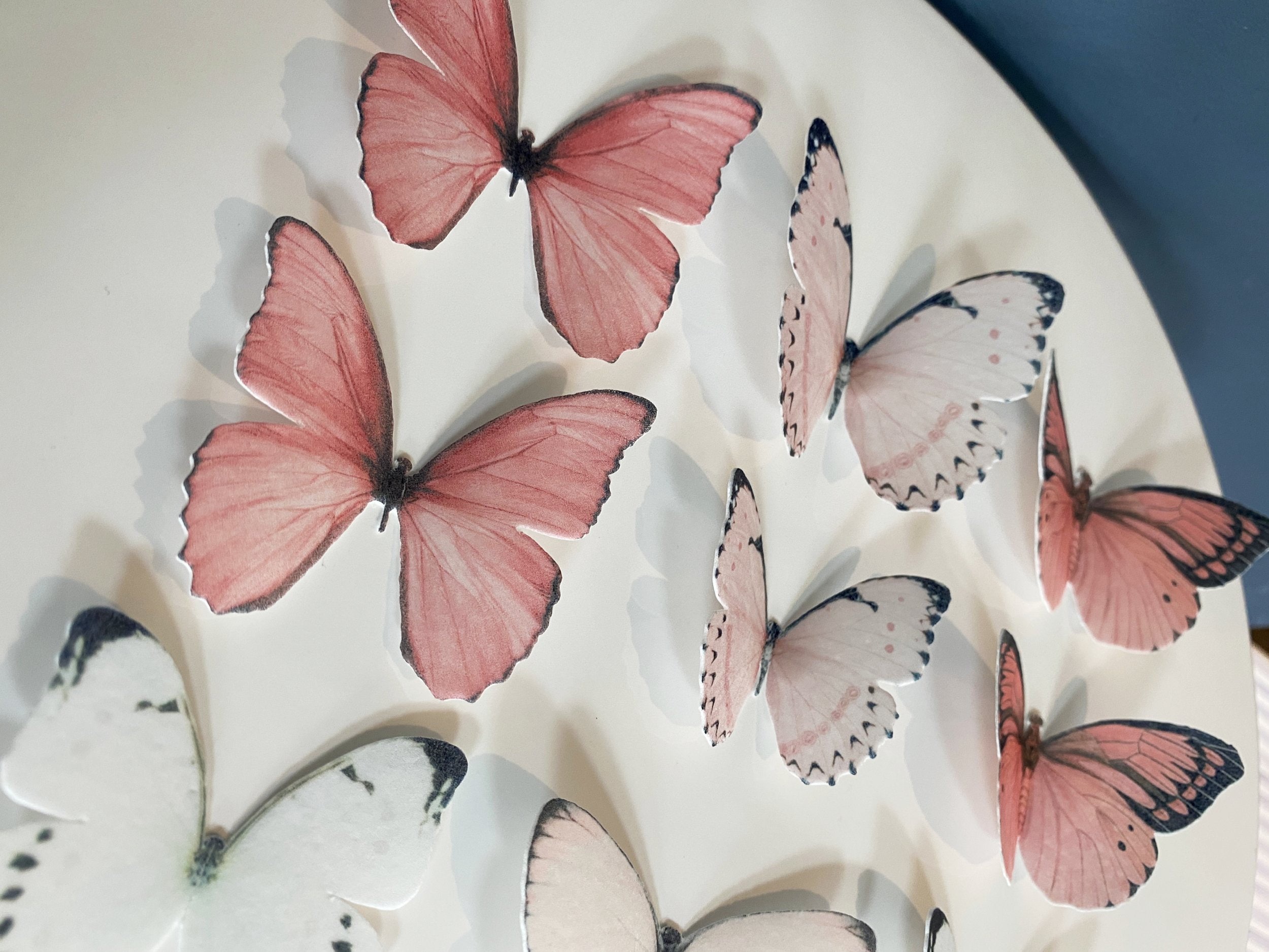 Precut Pink and White realistic wafer butterflies Edible Etsy