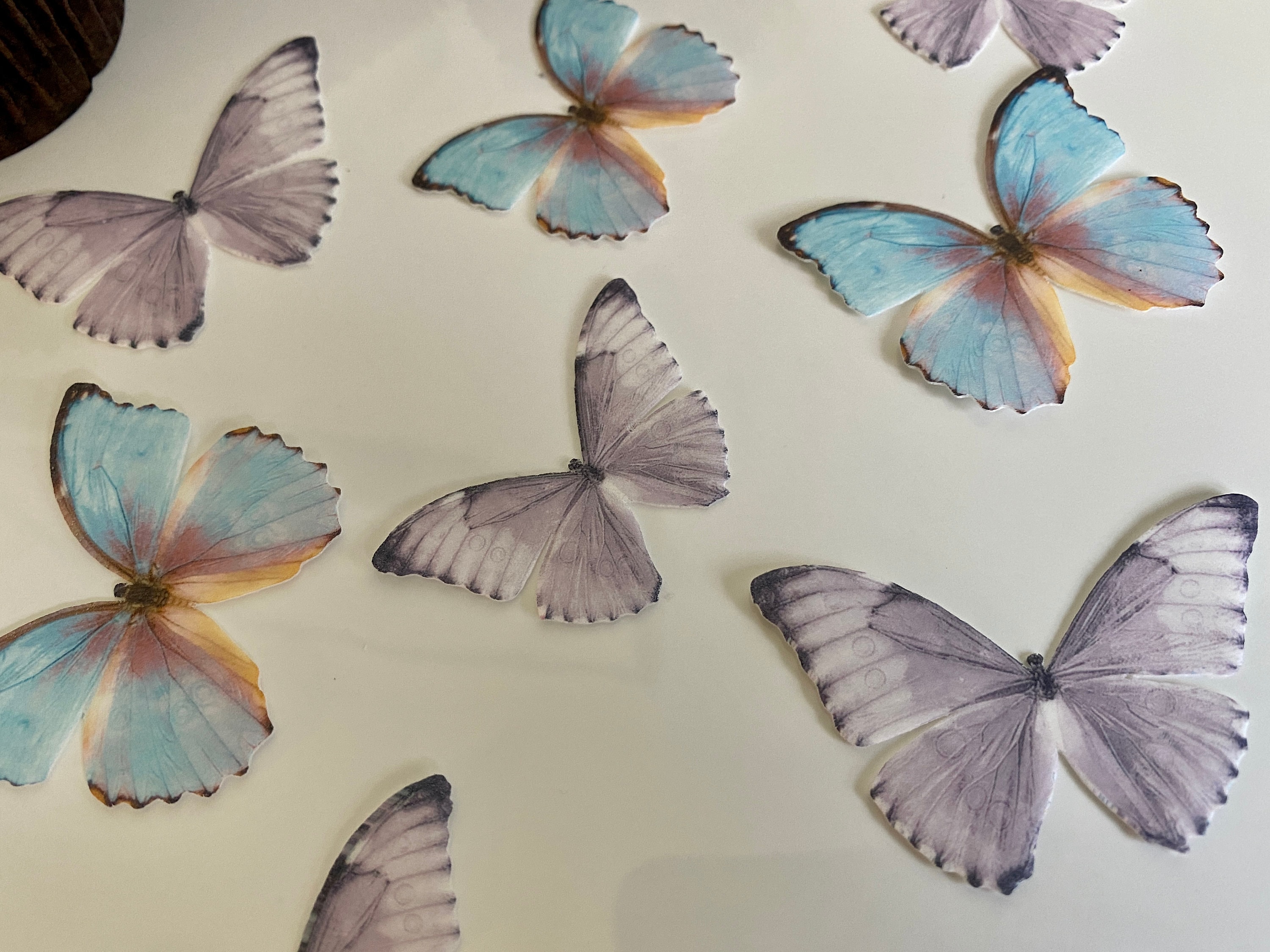 Precut Blue and purple realistic wafer butterflies Edible Etsy