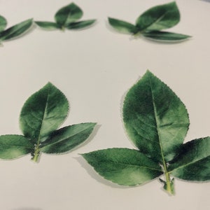 Pre-cut wafer rose leaves - Edible cake / cupcake decorations