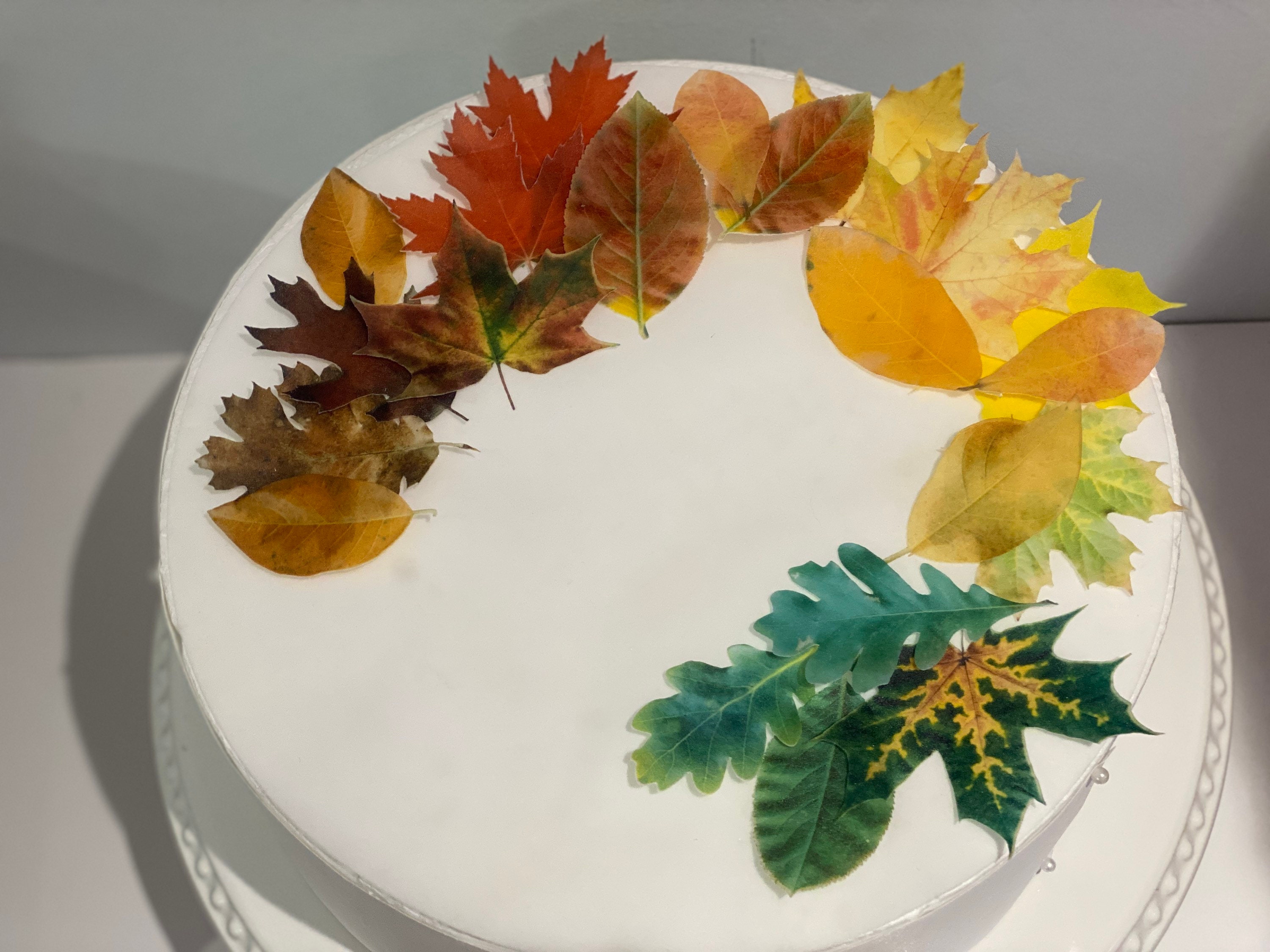 12/18/24 Fall / Autumn Leaves Edible Wafer Toppers. Edible - Etsy ...
