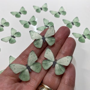 Pre-cut sage green mini edible wafer butterflies decorations for cake pops, cakecicles or sugar lollies - 30/60/100