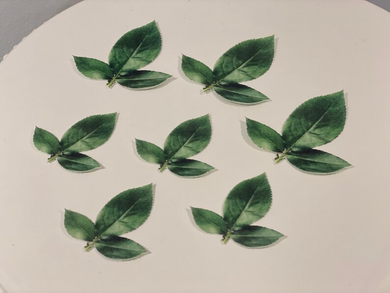 Precut Wafer Rose Leaves Edible Cake / Cupcake Decorations Etsy
