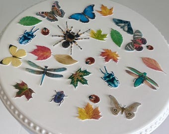 Edible Bug Cake Toppers: Butterflies, Spiders, Ladybugs, Dragonflies