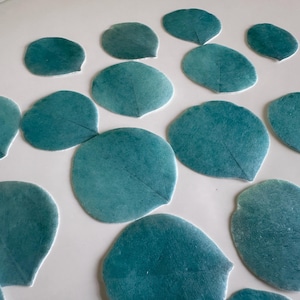 Precut edible eucalyptus leaves wafer topper - Edible cake / cupcake decorations for anniversary and wedding cake decor individual leaves