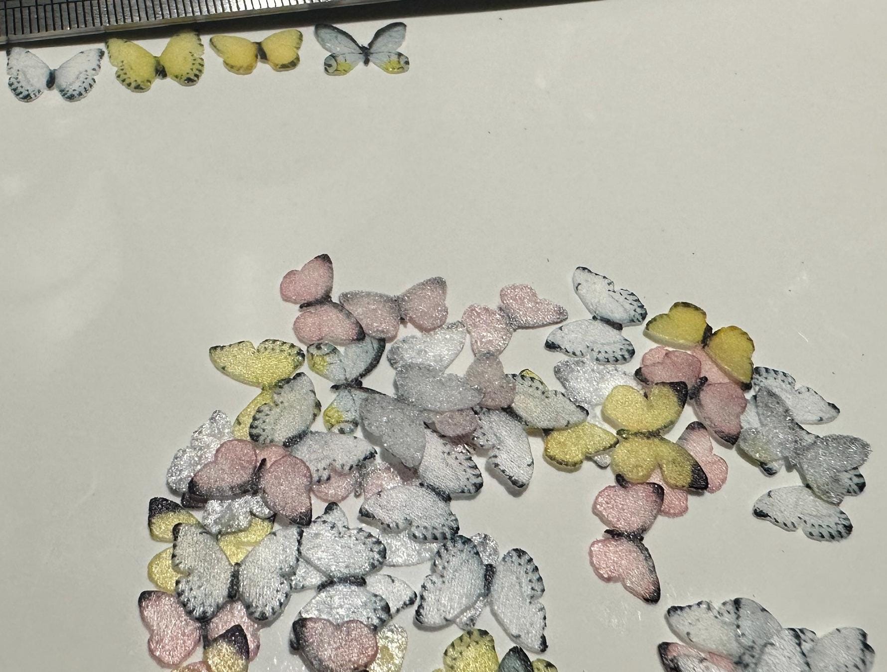 ひまわり⭐︎ 生花】ひまわり サンリッチレモン【黄/60cm/福島県】｜Flower