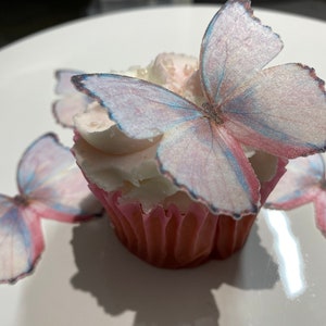 Pre-cut Edible Pink Wafer Butterflies: Cake & Cupcake Decorations