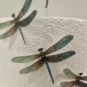 Può includere: Tre topper per torta a forma di libellula blu e marrone con steli di filo. Le libellule sono su una torta bianca.