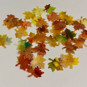 May include: A scattering of small, paper-like autumn leaves in shades of yellow, orange, brown, and green. The leaves are arranged on a white surface, suitable for craft projects or seasonal decorations.