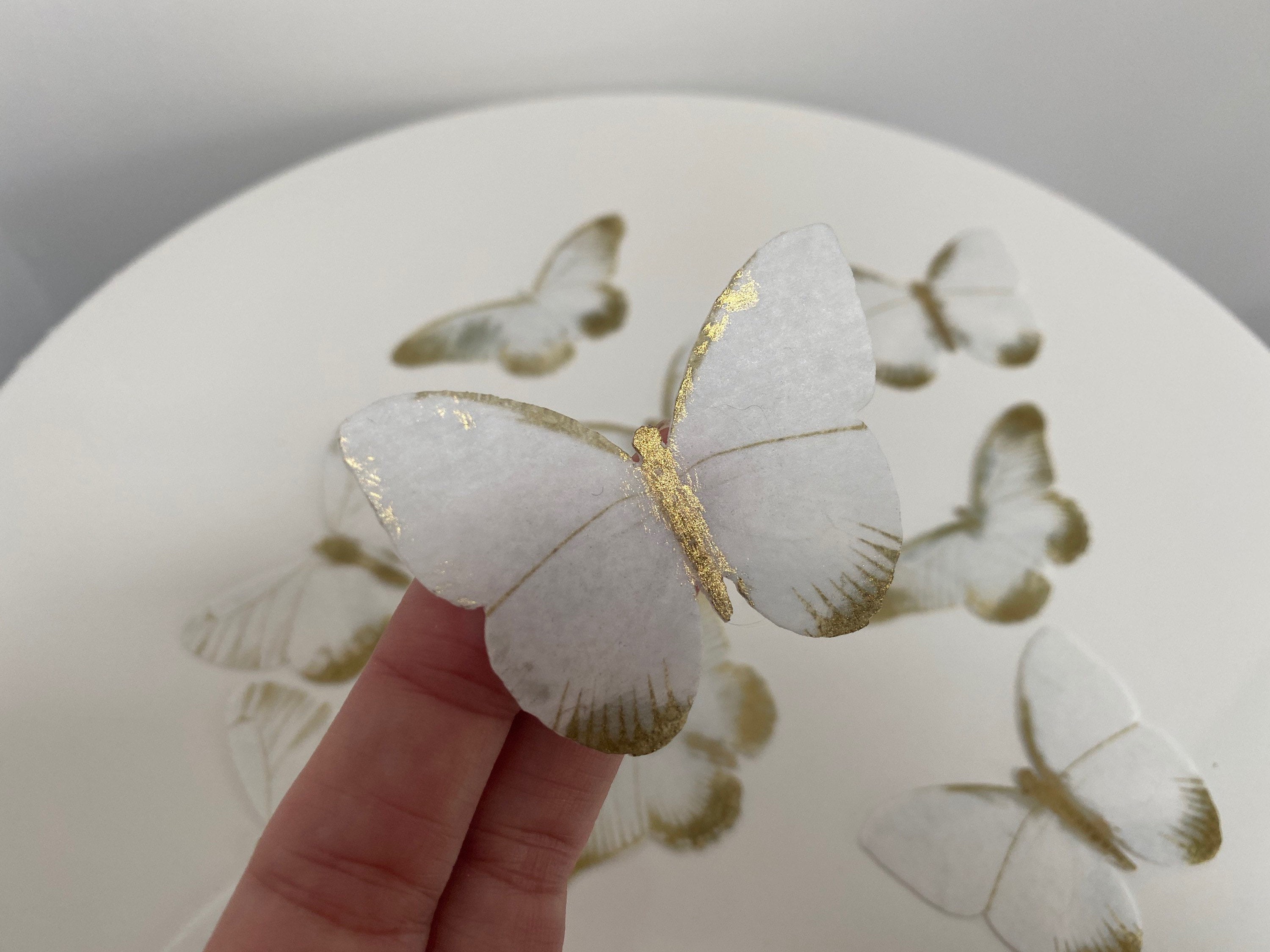 White precut wafer butterflies with gold accent 12/18/24 Etsy
