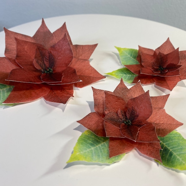 3 Christmas Poinsettia edible wafer toppers - Edible cake / cupcake decorations - CH03