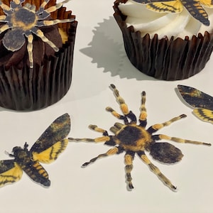 May include: Four edible cupcake toppers featuring realistic images of insects. Two are black and yellow tarantulas, and two are black and yellow moths.