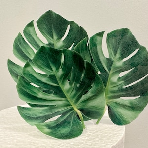 Foglie tropicali commestibili - grandi topper in cialda pretagliati - topper per torta tropicale, decorazioni per torte per feste estive, decorazione per torte safari