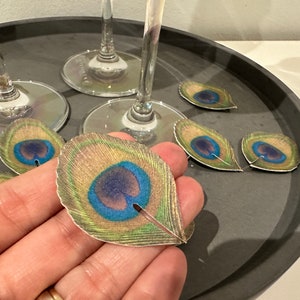 Edible Peacock feathers drink toppers - precut wafer toppers