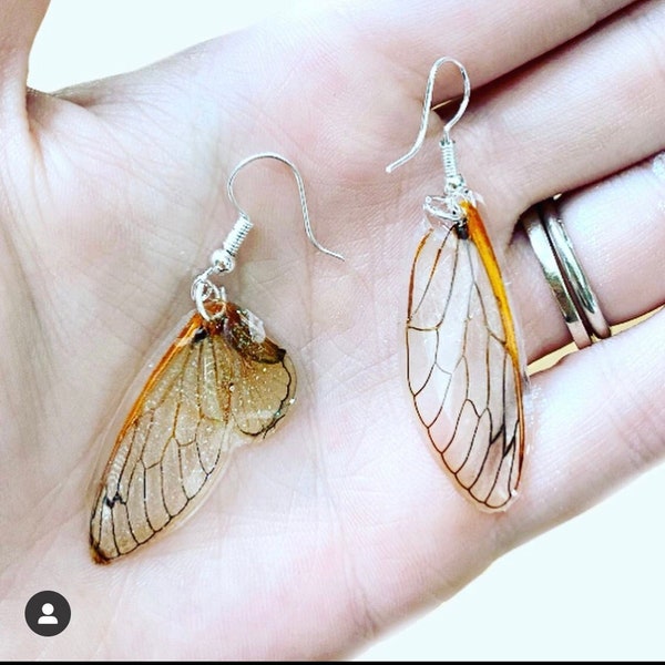 Fairy Wing Earring Real Cicada Earring Insect Jewelry - Butterfly Wing Earrings - Mystical Earrings