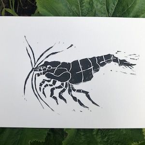 Shrimp Lino Print on A5