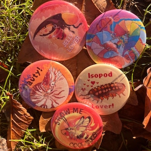 May include: Five colourful round buttons with different insect and animal illustrations. The buttons feature a beetle, a nautilus, an isopod, a butterfly, and a pair of lobsters. The buttons have a red, orange, and yellow colour scheme with white text. The text on the buttons reads "Jelly Lover", "Isopod Lover", "Show Me Cool Bugs", "Aut!" and "Love's Sweet Song".