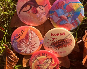Show Me Cool Bugs! Pin Button Badge For Insect Lovers