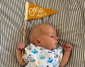 BABY MILESTONE Monthly Mini Pennant Photo Props | Set of 6 Double-Sided Reversible 4x7" Flags with Removable Stick