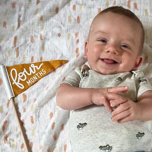 BABY MILESTONE SET Monthly Pennant Photo Props | Set of 6 Double-Sided Reversible 4x7" Flags with Removable Stick