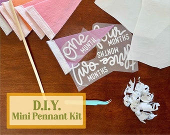 DIY kit - BABY MILESTONE Monthly Mini Pennant Photo Props | Make Your Own | Set of 6 Reversible 4x7" Flags with Removable Stick