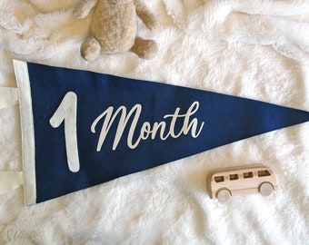 Baby Monthly Milestone Pennant: Soft Felt Photo Prop Kit for Newborn-21 Months