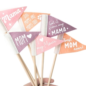 Regalo per la FESTA DELLA MAMMA: piccoli gagliardetti / mini bandierine su un bastoncino / per bouquet floreali o piante da appartamento