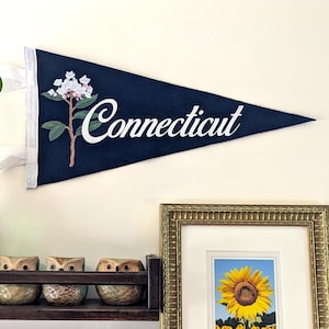 Connecticut State Flower Pennant Flag - &quot;Mountain Laurel”