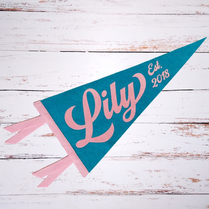 Peut inclure: Un fanion en feutre bleu sarcelle avec une inscription rose qui dit "Lily Est. 2018". Le fanion a deux liens en feutre rose.