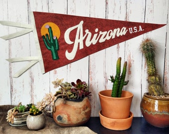 CUSTOM Large Southwest Desert Themed Pennant | 12 x 24 inch Banner with Ties