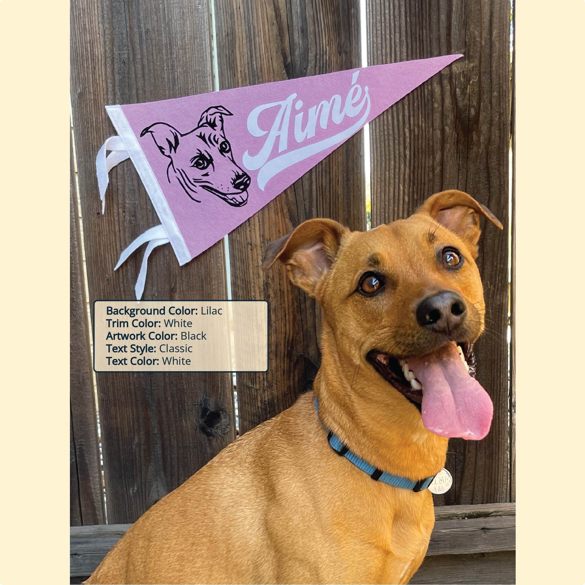 Custom Pet Portrait Pennant: Personalized Dog or Cat Felt Flag