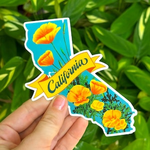 fleur de pavot de CALIFORNIE Sticker | Grande décalcomanie Golden State en Californie | 4,5 x 4 pouces