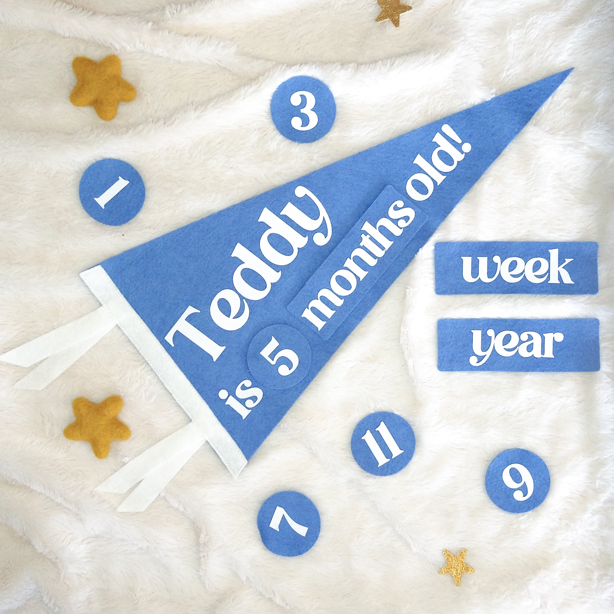 Custom Baby Milestone Photo Kit | 9x18 inch Personalized Felt Pennant Flag with Ties