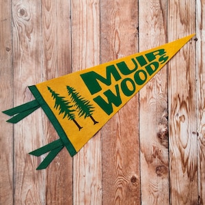 Bandiera del parco nazionale Muir Woods / 9 x 18 pollici / Decorazione da appendere alla parete in sequoia della California