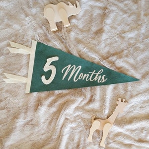 Feutre doux bébé fanion JALONS MENSUELS, kit d'accessoires photo marqueurs jalons | Nouveau-né-21 mois | Drapeau fait main de 9 x 18 pouces