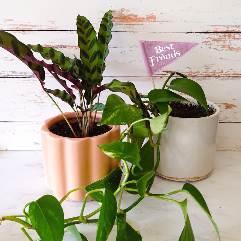 PLANT FLAGS Miniature Plant Pennants Set of 3 or Individual Etsy