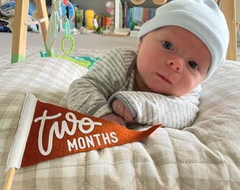BABY MILESTONE SET Monthly Pennant Photo Props | Set of 6 Double-Sided Reversible 4x7&quot; Flags with Removable Stick