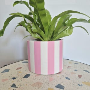 May include: A houseplant with long, green leaves in a cylindrical planter. The planter has vertical pink and white stripes. The planter is placed on a terrazzo table.
