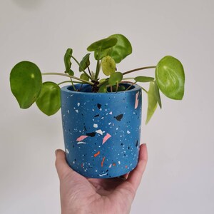 May include: A small, blue terrazzo planter with a green leafy plant inside. The planter has a speckled pattern with white, black, pink, and orange flecks.