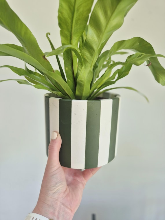 Handcrafted Green Striped Plant Pot: Large Indoor Planter