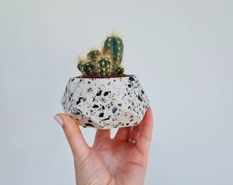 Indoor Plant Pot - Terrazzo Planter, Monochrome pot, Succulent Plant Pot, Trinket dish, Small Plant Pot, Plant Gift, Home Decor