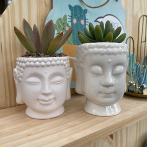 May include: Two white ceramic Buddha head planters with succulents. The planter on the left has a pink succulent and the planter on the right has a green succulent.