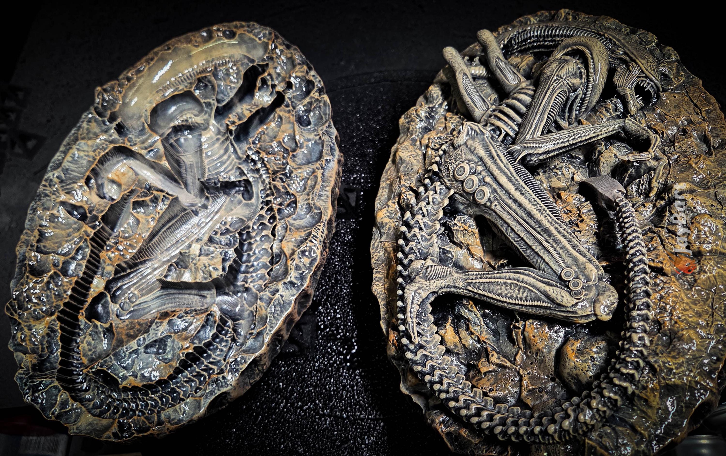 Fossilized Xeno Display Piece - Etsy