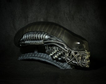 Xenomorfo - El corredor, perro alienígena, buey alienígena, explorador - Pieza de exhibición de cabeza