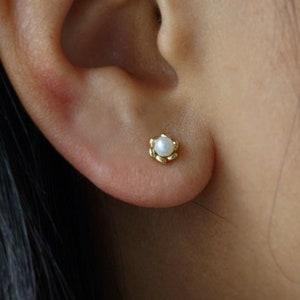 10k Solid Yellow Gold Flower Pearl Studs, Round Pearl Flower Cup Earrings, Dainty Freshwater Pearl Gold Studs, Floral Gold Stud with Pearl