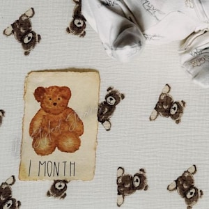 Jeu de cartes jalons de 12 mois peintes à la main avec ours en peluche aquarelle