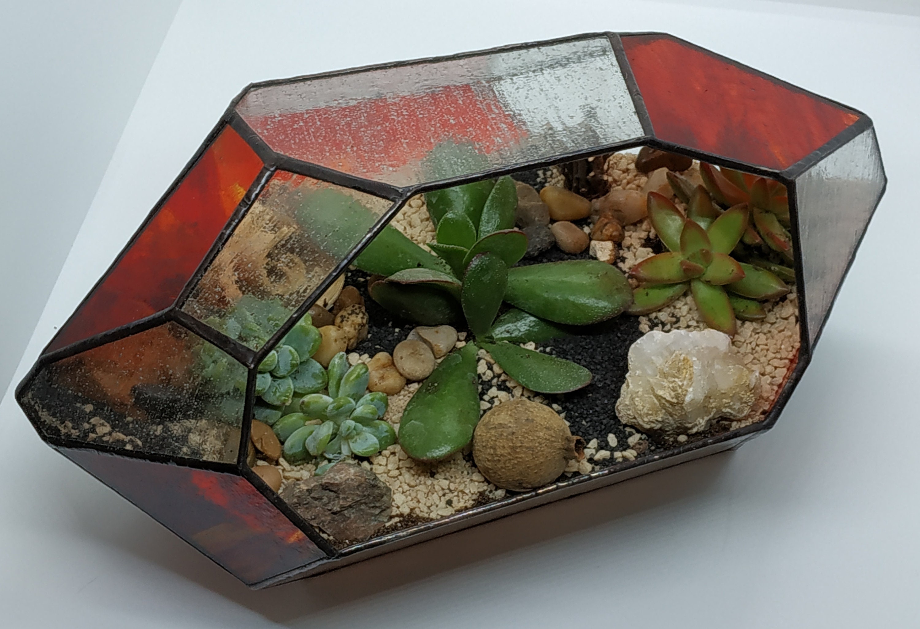 Grand Terrarium