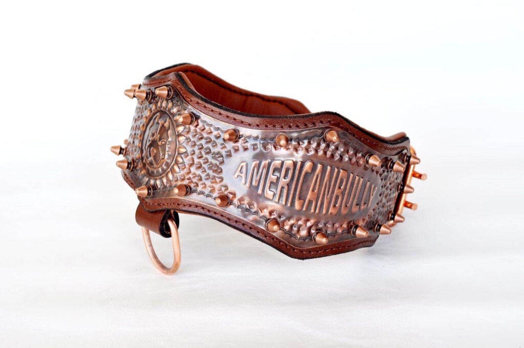 COPPER DOG COLLAR American Bully Print / dog collars / dog Etsy